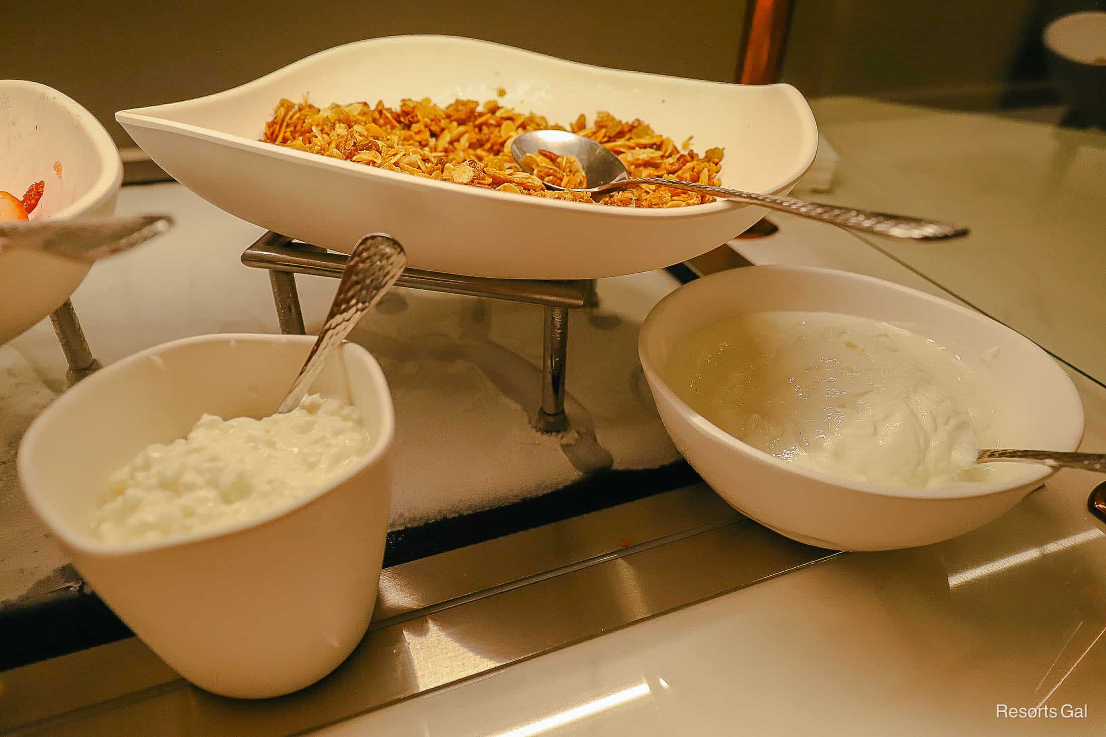 a station with granola, cottage cheese, and vanilla yogurt 