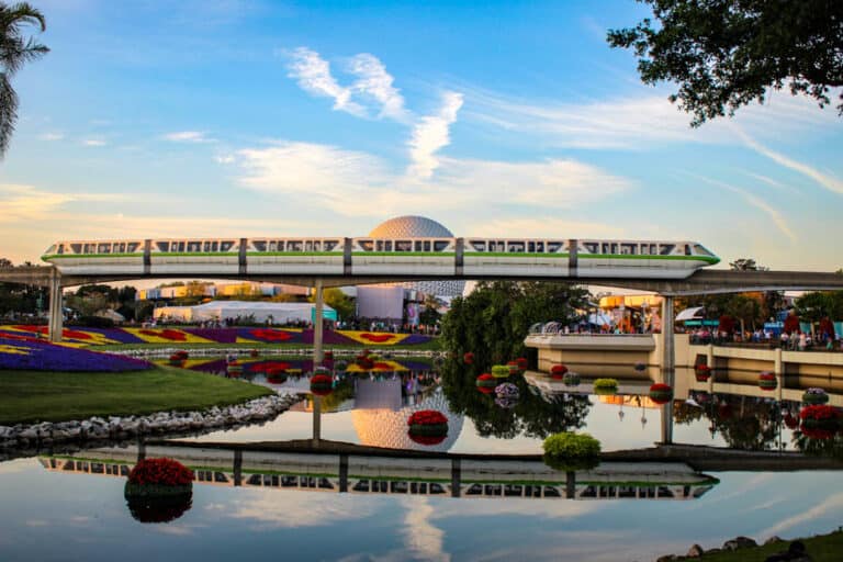 Disney World Monorail Transportation Guide
