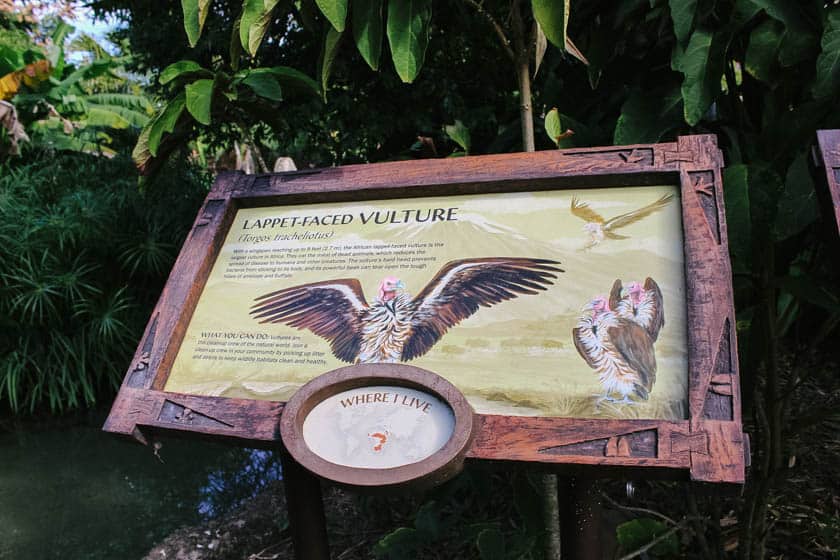 vulture sign at Disney's Animal Kingdom 