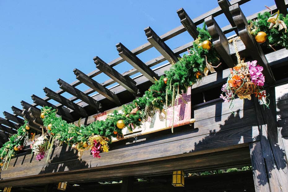 Animal Kingdom Christmastime