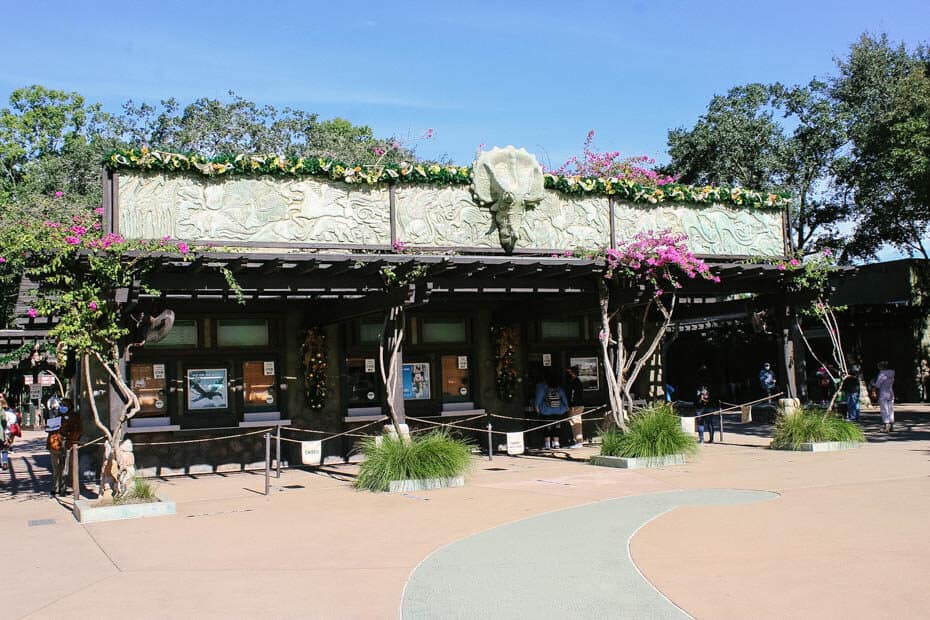 Christmas at Animal Kingdom