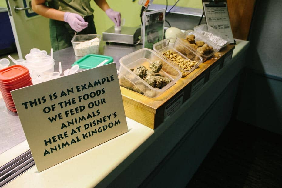 an example of the food given to the animals at Disney's Animal Kingdom on a display at Conservation Station 