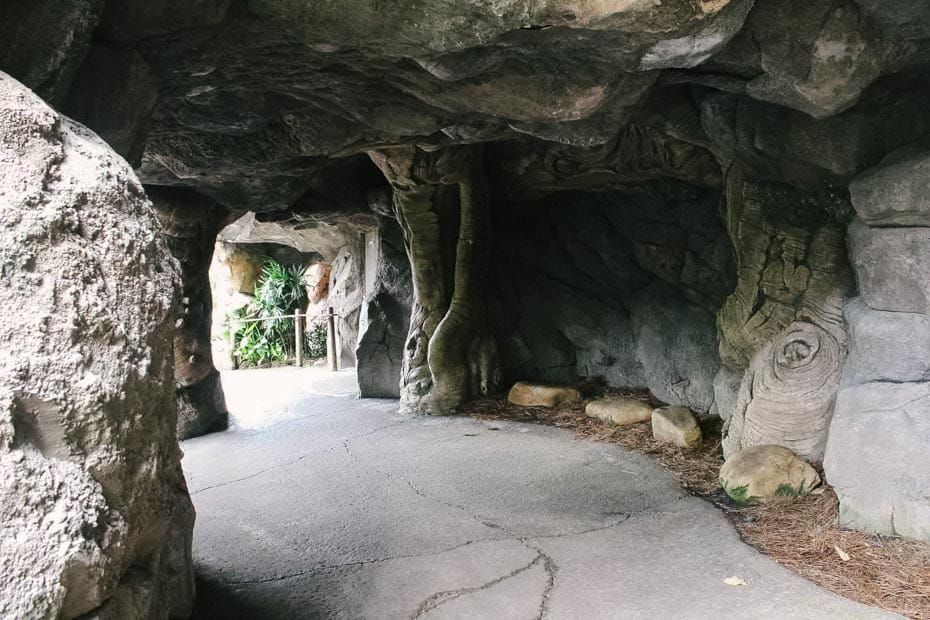 a hidden cave on the Discovery Island Trails under the Tree of Life 
