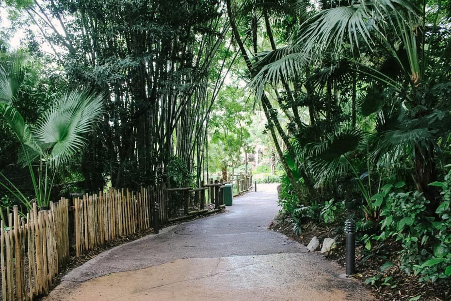 a view of a shaded area along the Discovery Island Trails 