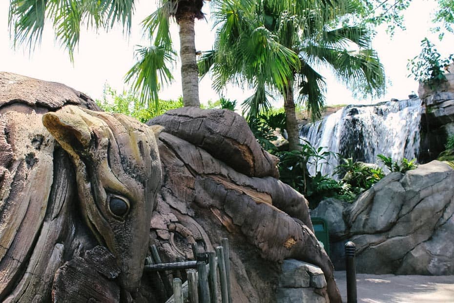 discovery island animal kingdom discovery island animal kingdom