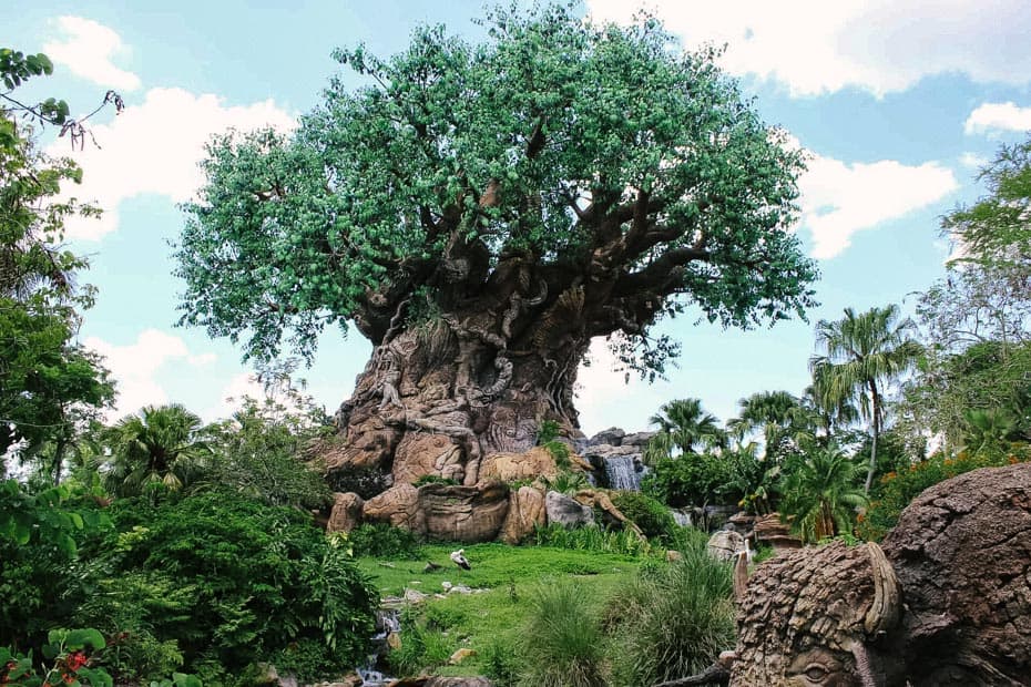 List of Animal Kingdom Attractions – Resorts Gal