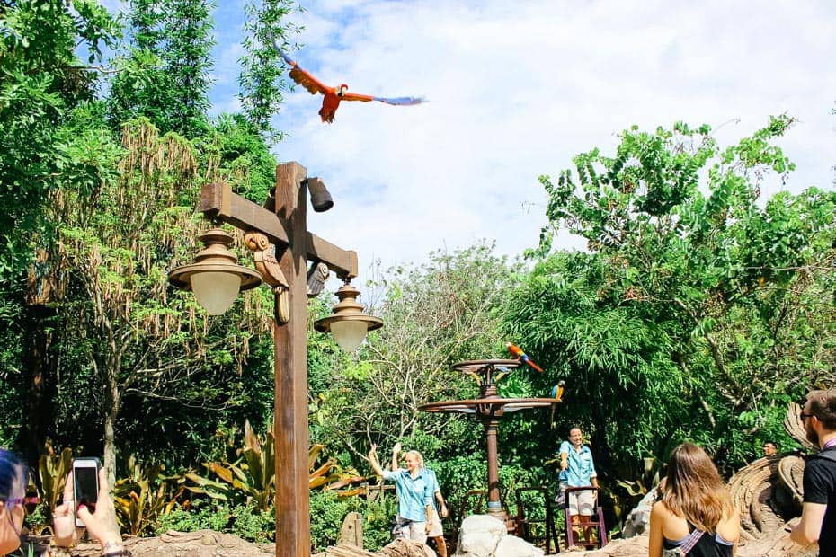 Discovery Island Trails at Disney's Animal Kingdom