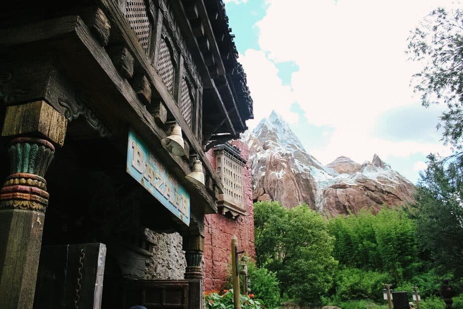 Single Rider line for Expedition Everest