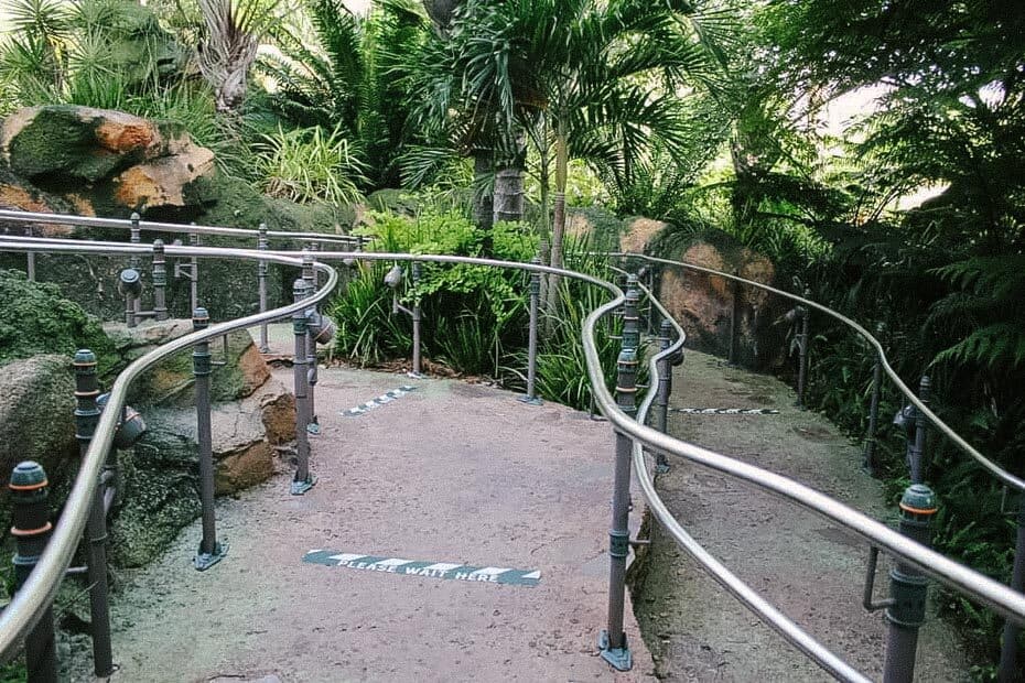 Queue Flight of Passage at Disney