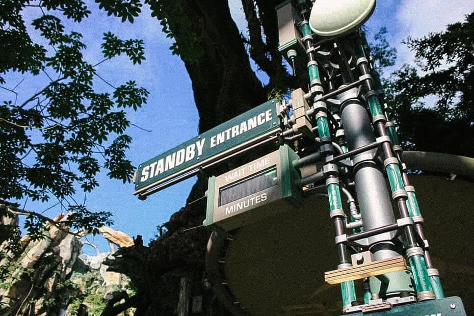 Standby for Flight of Passage