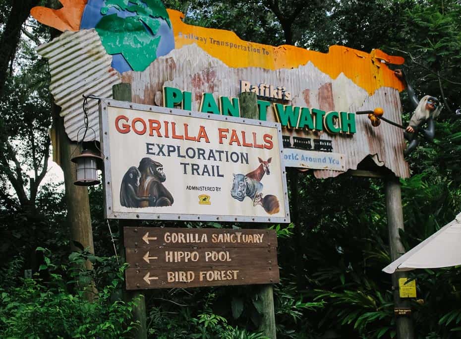 gorilla trek disney world