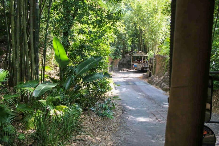 how long is the kilimanjaro safari at disney world