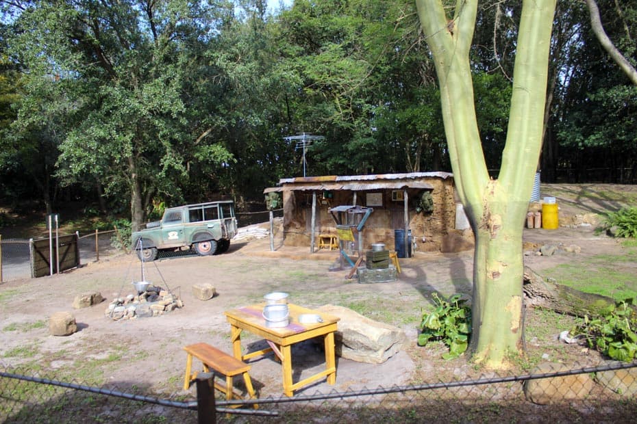 Nigerian Dwarf Goat habitat at Disney's Animal Kingdom