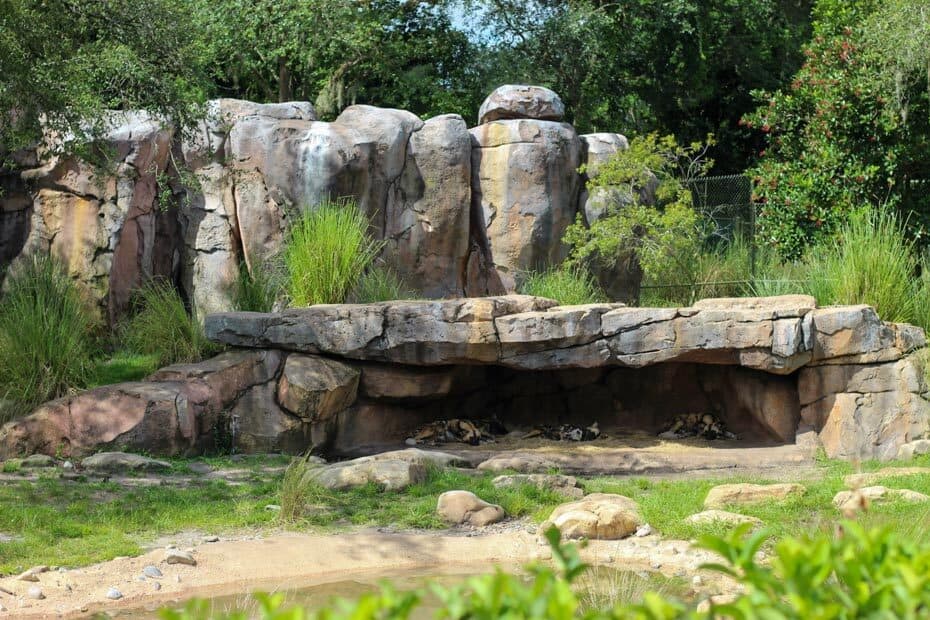 length of kilimanjaro safari animal kingdom