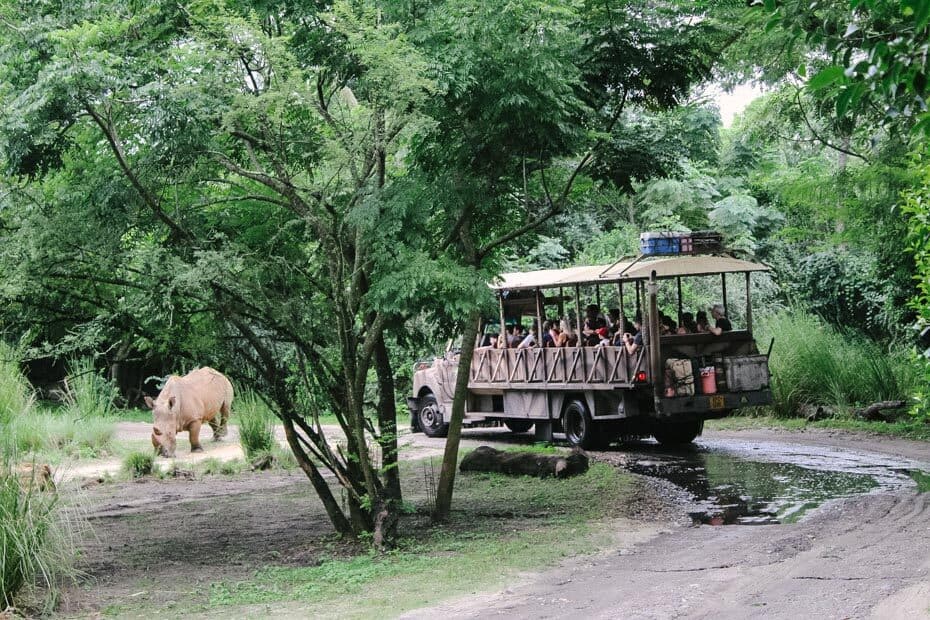 length of kilimanjaro safari animal kingdom