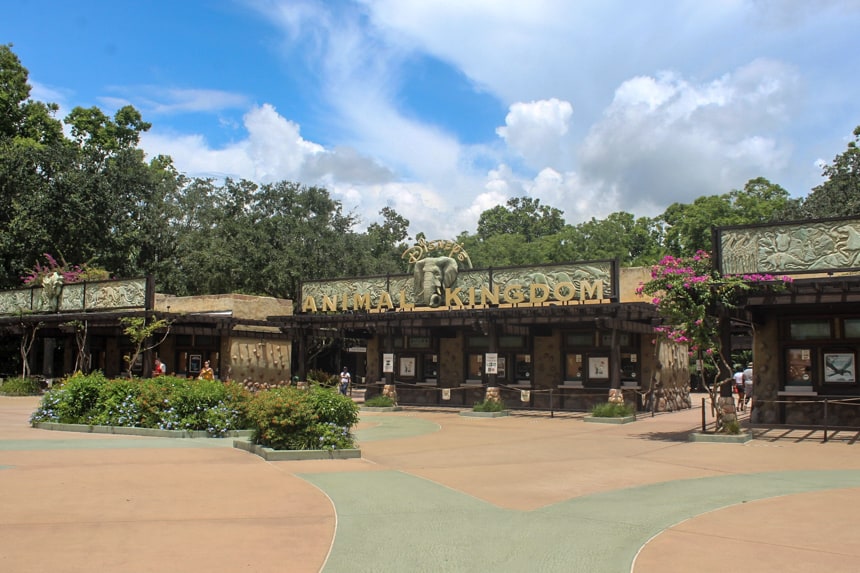 The Oasis at Animal Kingdom Disney