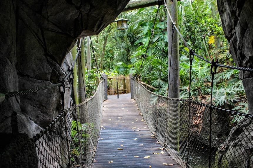 looking back at the cave area in the Oasis to the bridge 