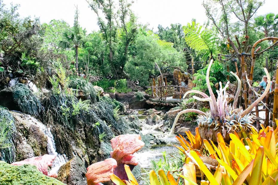 Pandora, World of Avatar Disney World