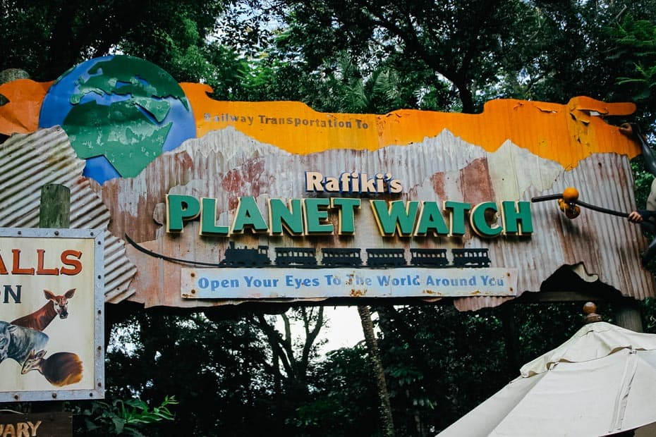 a sign that indicates the entrance to the Wildlife Express Train and Rafiki's Planet Watch