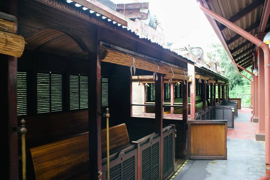 the Wildlife Express train had half size doors that open and long rows of benches