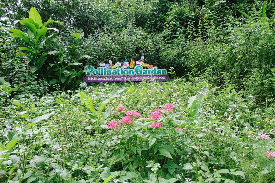 a sign among flowers that says Pollination Garden