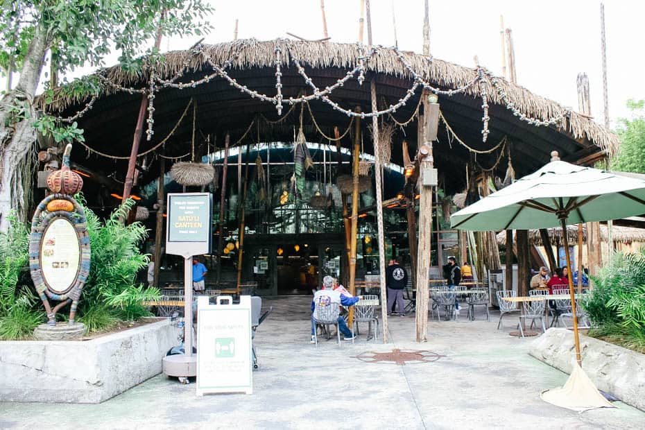 Satu'li Canteen Review at Animal Kingdom Resorts Gal