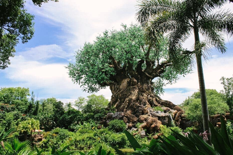 Tree of Life at Disney World's Animal Kingdom – Resorts Gal Tree of Life at Disney World's Animal Kingdom – Resorts Gal