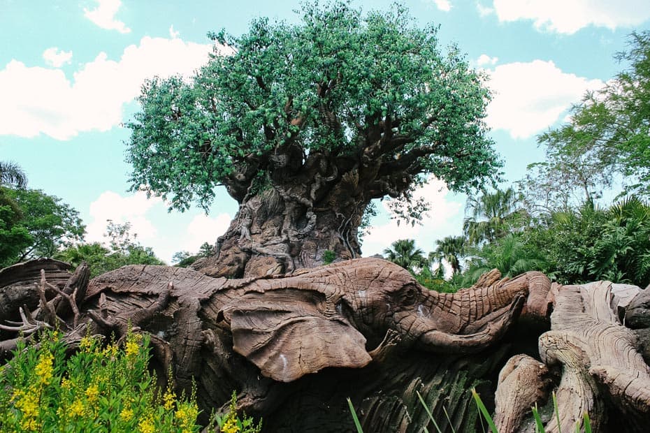 Tree of Life at Disney World's Animal Kingdom – Resorts Gal