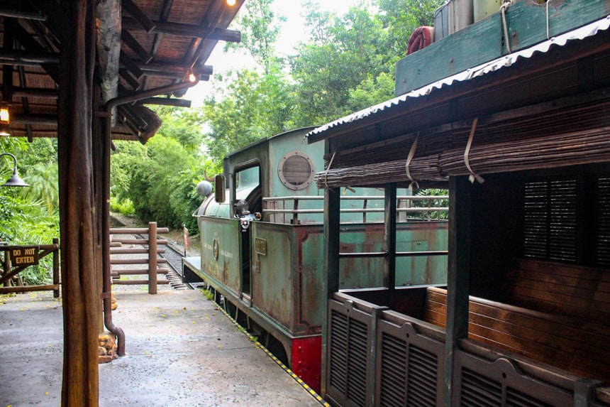 the Wildlife Express Train pulls into the station 