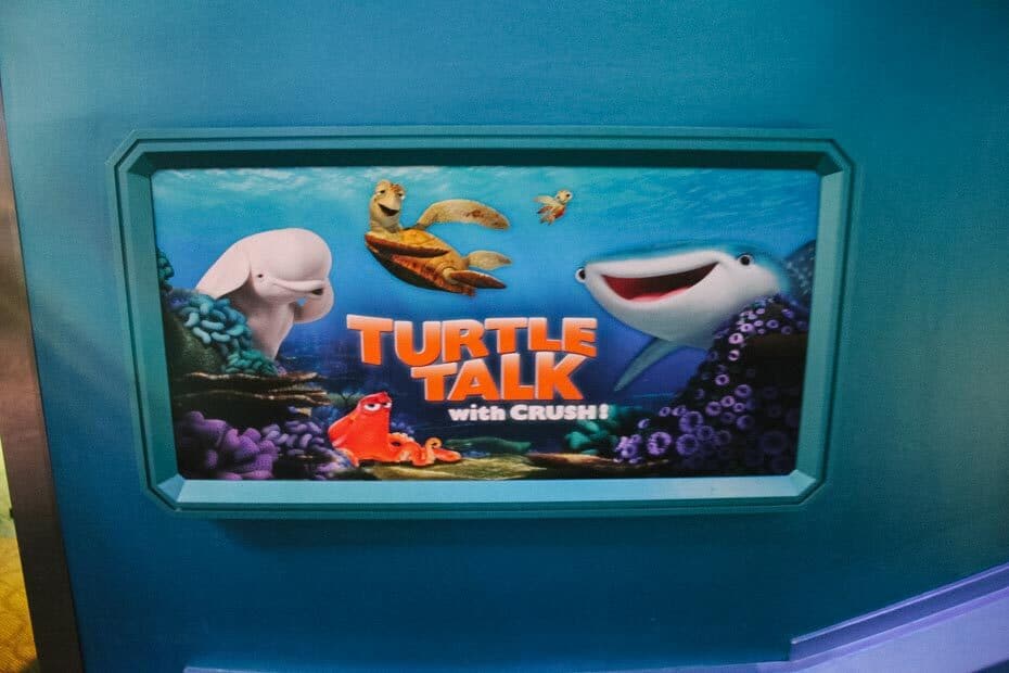 Turtle Talk with Crush
