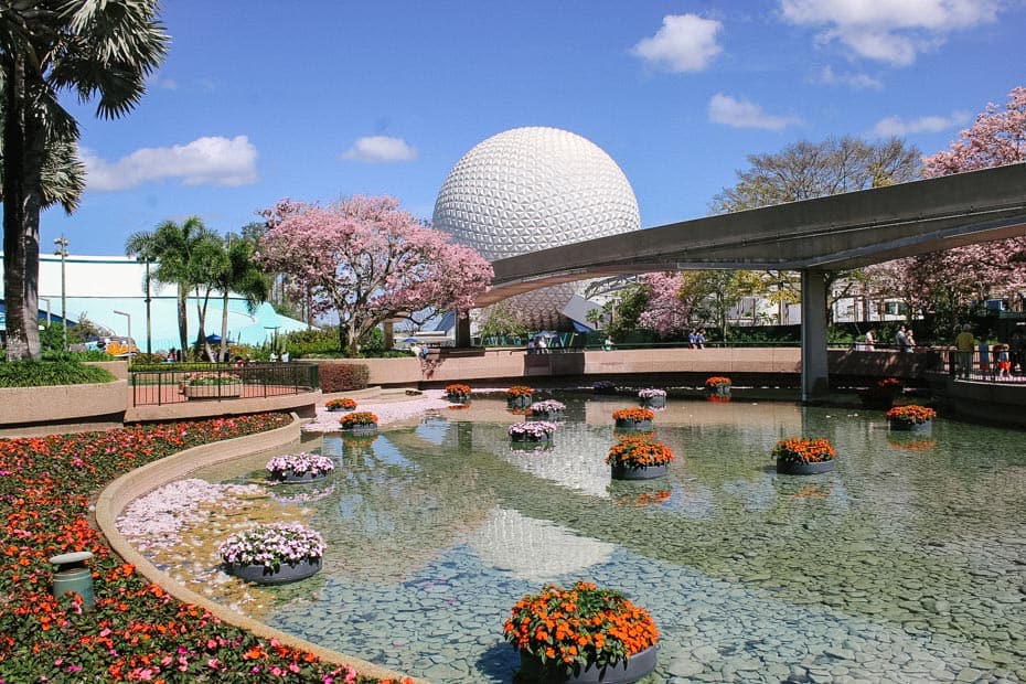Epcot Flower and Garden Pictures