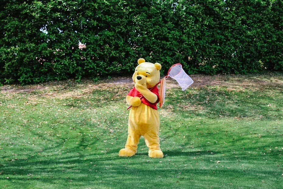 Where to Meet Winnie the Pooh at Disney World