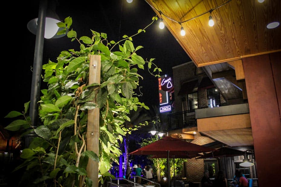 The Best Restaurants at Disney Springs (2022 Updates) – Resorts Gal