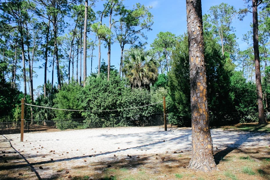 volleyball court 