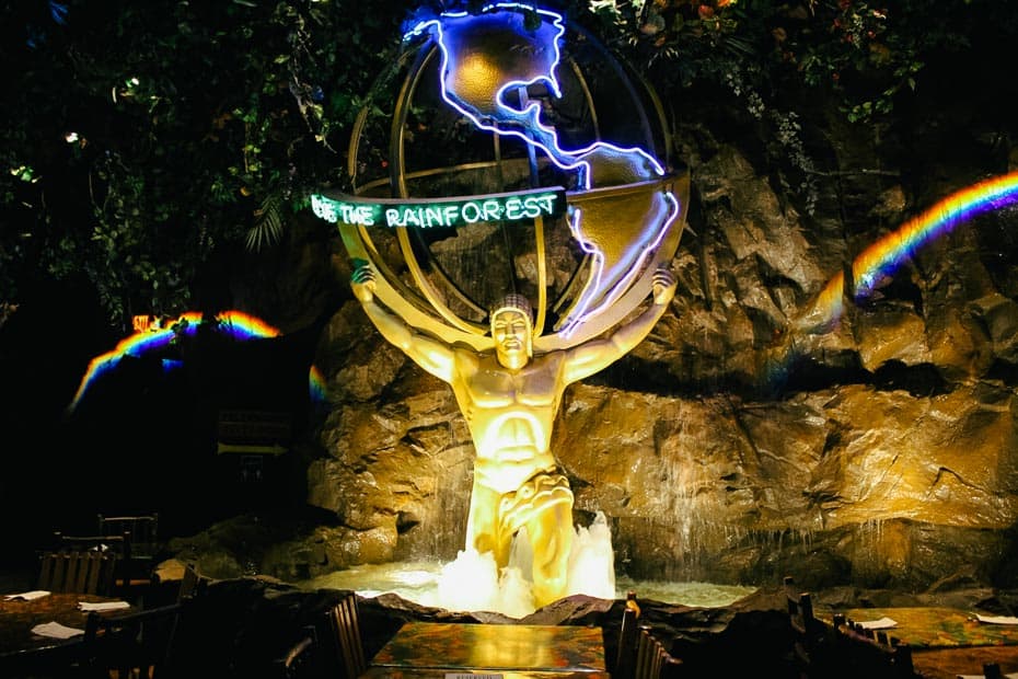 Review: Rainforest Cafe at Disney Springs – Resorts Gal
