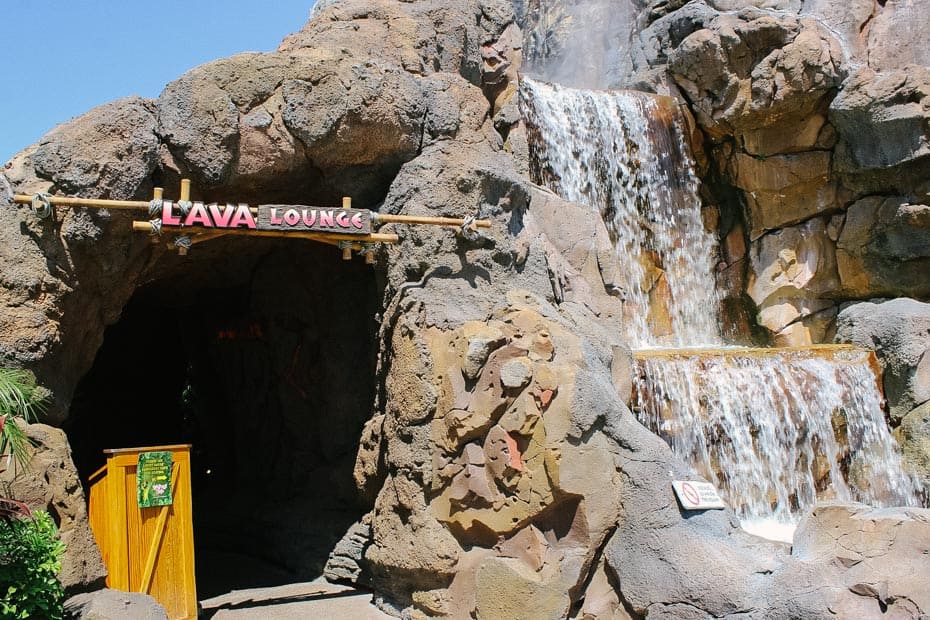 Review: Rainforest Cafe at Disney Springs – Resorts Gal