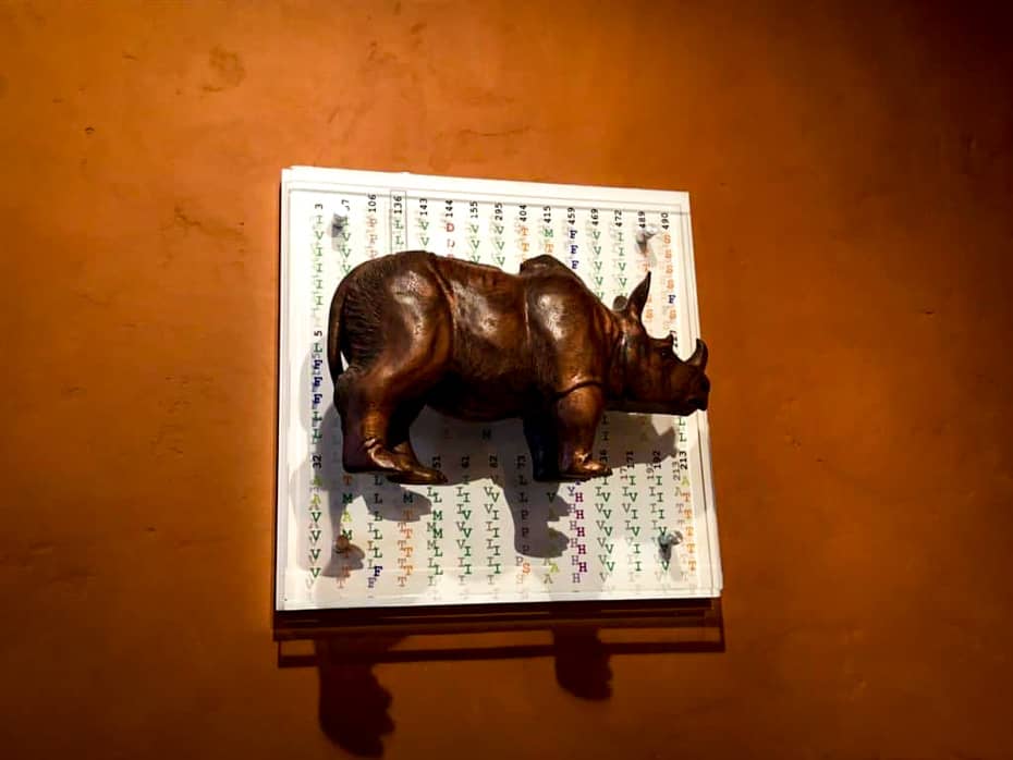 a unique piece of artwork with a rhinoceros sculpture