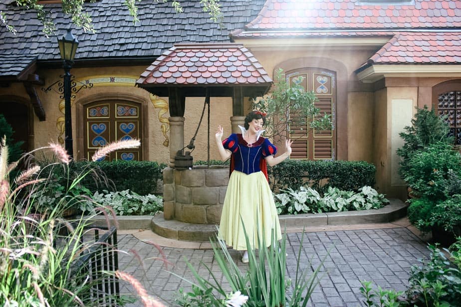 EpcotPrincessEdits 13