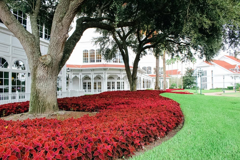 GrandFloridianSep21 054