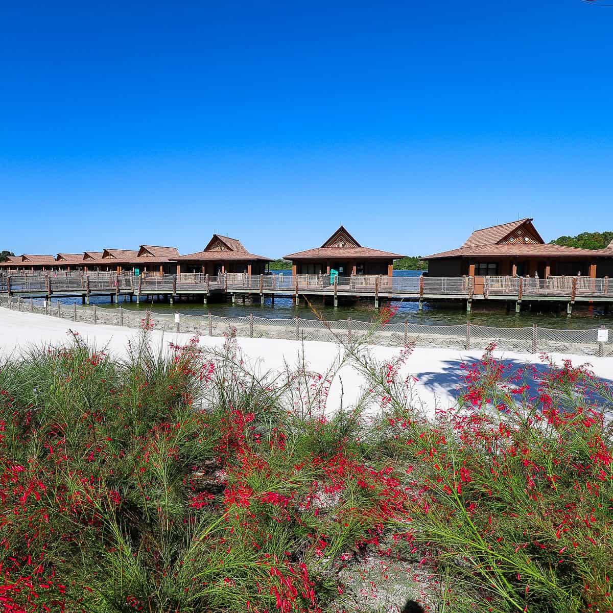 Disney World Resort Refurbishment Schedule 2023 2024 Disney World Resort Refurbishment Schedule 2023 2024