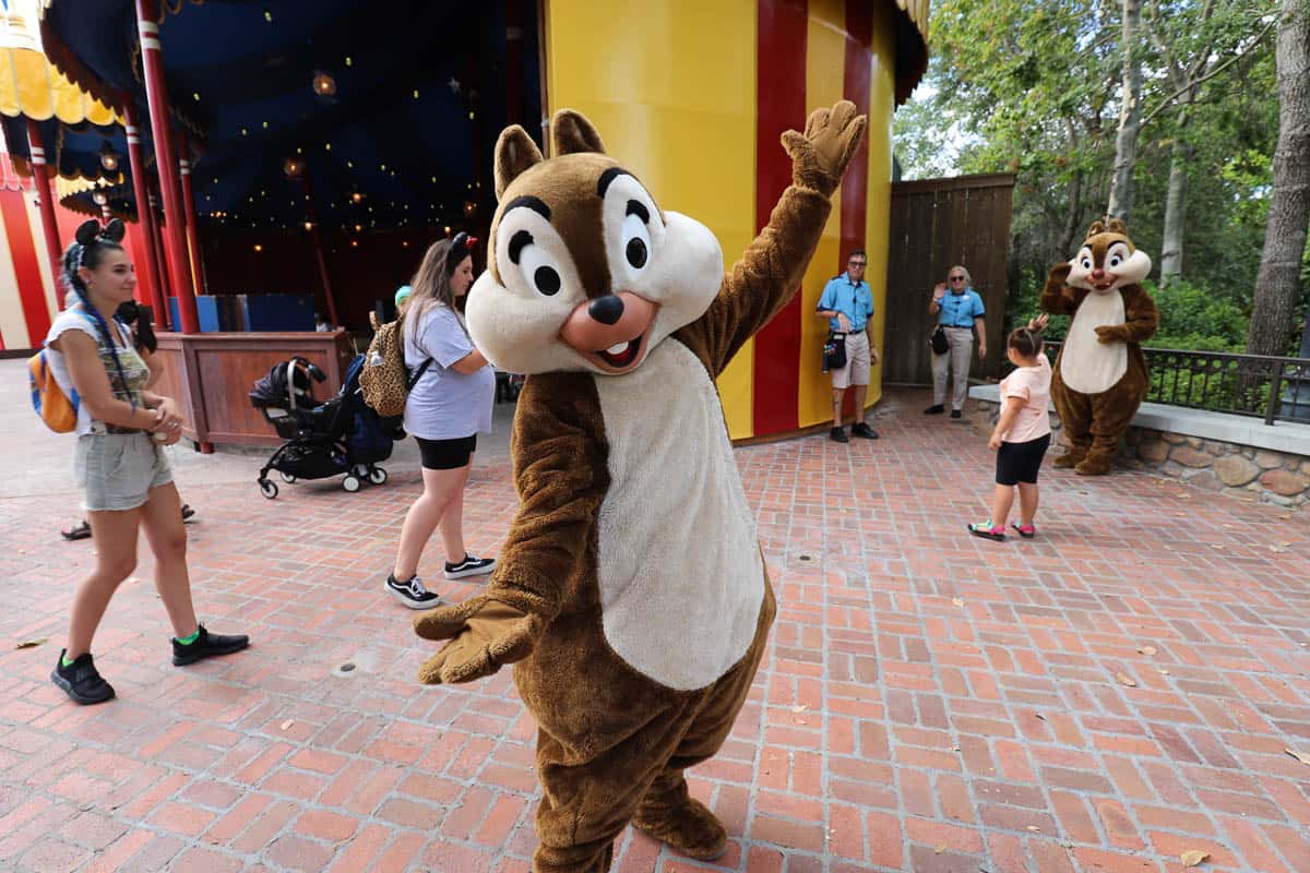 Meet Chip and Dale at Disney World