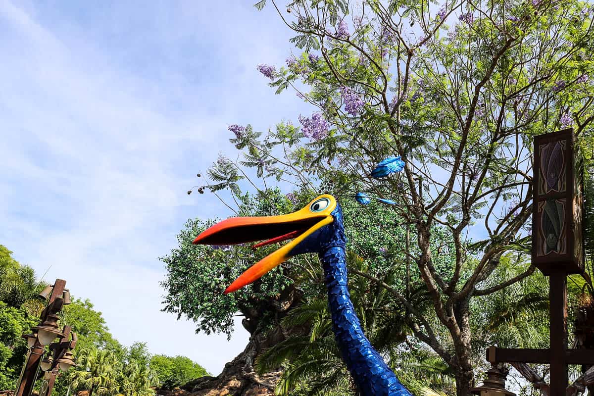 Meet Kevin at Disney's Animal Kingdom