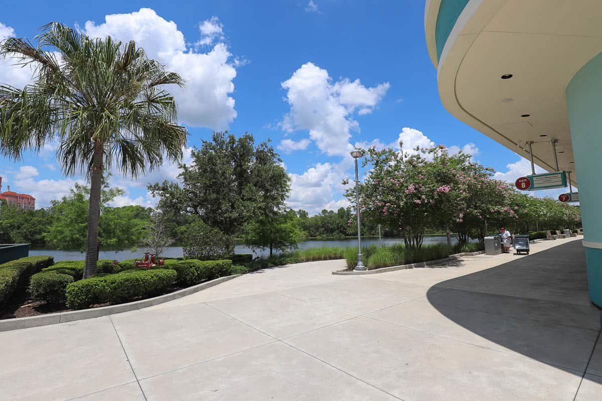 The beginning of the walking path from Hollywood Studios to Epcot near the bus stop. 