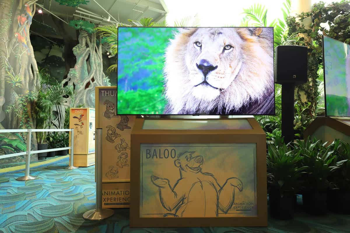 a lion on the television screen at the Animation Experience at Conservation Station 