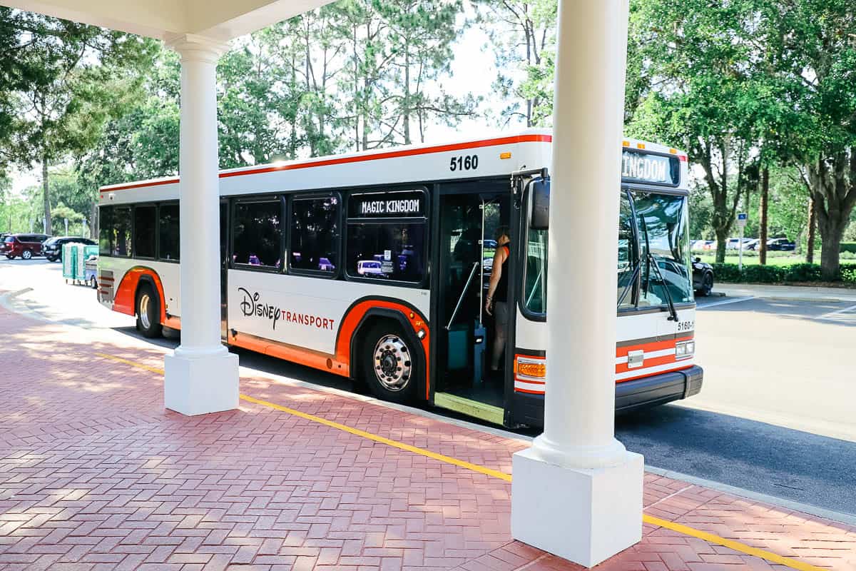 Magic Kingdom Bus at Beach Club bus stop