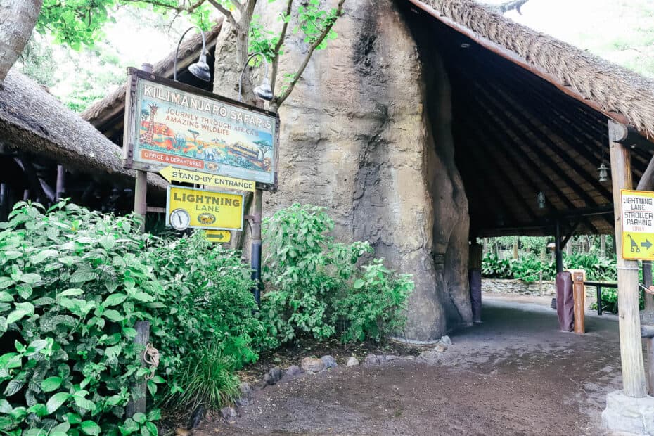 length of kilimanjaro safari animal kingdom