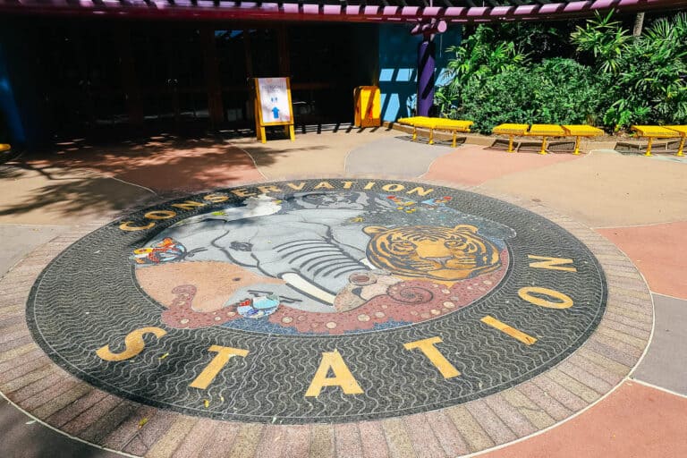 Conservation Station at Disney's Animal Kingdom