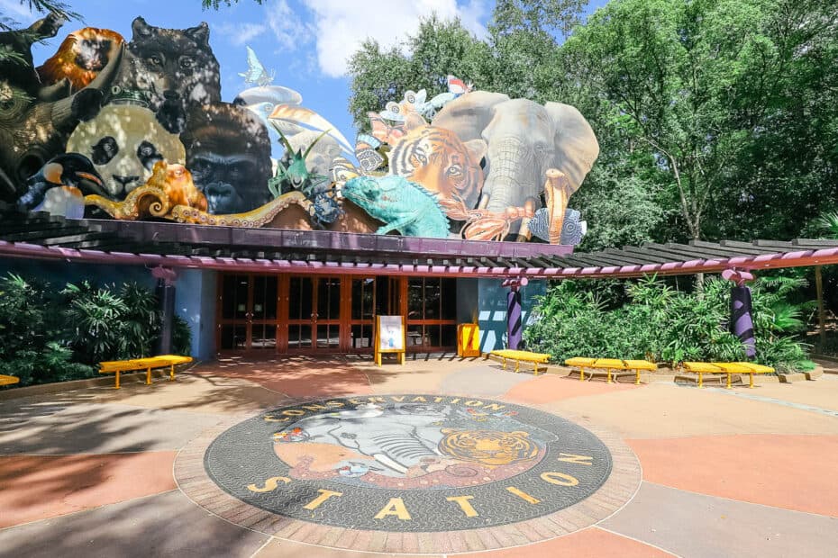The Animation Experience at Disney's Animal Kingdom – Resorts Gal