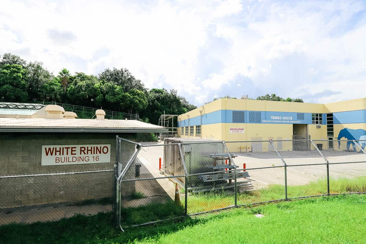 the White Rhino building and Tembo House at Disney's Animal Kingdom as seen from the Wildlife Express Train 