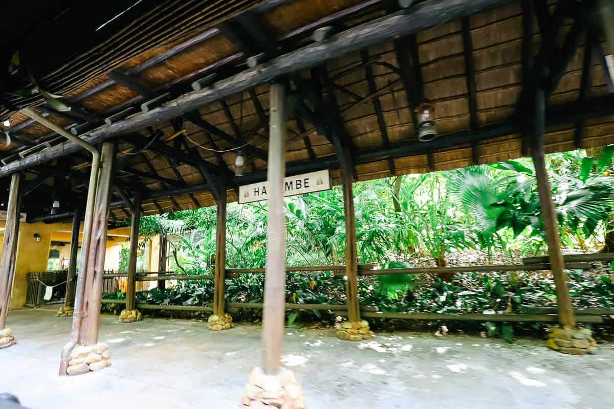A covered waiting area at the Harambe Train Station 